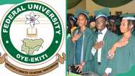 Federal University Oye-Ekiti courses, admission requirements and how to apply