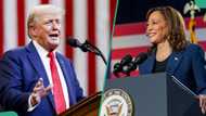 Trump vs Kamala Harris: Latest survey predicts winner of US election debate with 6-point lead