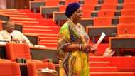 'Yan Majalisan Arewa sun sa dole Sanatar Ekiti ta janye kudirin da zai daidaita mata da maza