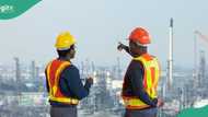 Dangote invites Nigerians to apply for jobs, releases link as New CEO plans refinery expansion