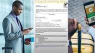 "You're a genius": Smart man gets visa approved in just 2 days, relocates to New Zealand, letter surfaces