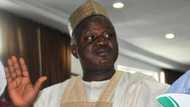 APC chieftain speaks on medical condition of Tinubu, other presidential aspirants, advises INEC