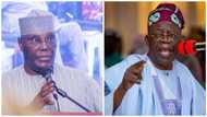 2023 elections: Atiku tells Tinubu reason why he consistently contests for president