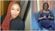Madam know God make you get peace: Nigerians drag Cynthia Morgan for describing Bible as 'inaccurate'