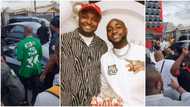 Who dem wipe? Nigerians react as Davido's police uses koboko on a fan believed to be Isreal DMW