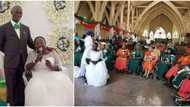 Lovely photos as lady in wheelchair ties the knot with her bridesmaids also in wheelchairs