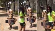 Shoemaker in Abuja entertains lady with sweet beats made using his wooden box, video stirs reactions