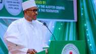 President Buhari to Nigerians: Don't write off the Super Eagles