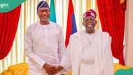 Tinubu receives Otedola in Lagos, photos, details emerge