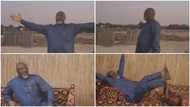 This is the life! Nigerian ex-senator excited as he visits farm in Dubai, social media reacts (video)