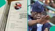 Manyan dalilai 4 da suka sa Tinubu yake neman kotu ta hana FBI sake sirrinsa na Amurka