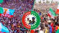 2027: Illolin da yawan sauya sheƙar ƴan siyasa ke yi ga ingancin zaɓe a Najeriya