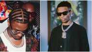 'Oyinbo' man quickly walks away in video after getting snubbed by Wizkid, singer refuses to shake hands