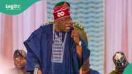 2027 elections: “You are banned from playing politics,” Tinubu’s FG issues warning to civil servants