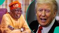 Future-proofing Nigeria against the deeper stakes of Trump’s bombast