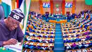 Breaking: Tinubu rejects NDLEA bIll, reason, other details emerge