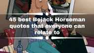 45 best BoJack Horseman quotes that everyone can relate to