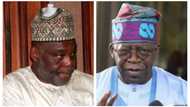 Game changer: Influential PDP chieftain backs Tinubu 2023 presidential bid