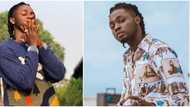 14th Headies Award: Fans react as Omah Lay wins sought after Next Rated category