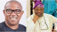 2023 Presidency: Obi-Datti Campaign Council Kicks as Dele Momodu Says Peter Obi Will Not Win Election