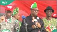 BayelsaDecides: 6 of 8 Labour Party LG chairmen dump party on election eve, give reason
