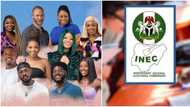 Fans vote on whether Big Brother Titans would distract Nigerian youths from the 2023 general elections