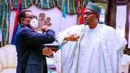 Nigeria now operates fatherism not federalism - Akinwumi Adesina