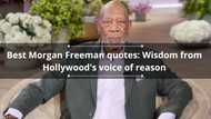 120 best Morgan Freeman quotes: Wisdom from Hollywood's voice of reason