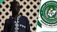 "My JAMB score is nothing to write home about": Boy ashamed after checking result of 2024 UTME
