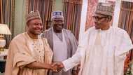 Nigeria has made real progress under your watch - Senator Uba Sani salutes Buhari at 77