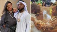 "Ifeanyi at 3": Davido's lawyer shares photo of singer and Chioma in labour room before their son arrived