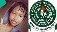 Lady who went offline for 7 months posts 2026 UTME result, screenshot draws attention