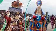 Did lady who filmed Oloolu masquerade procession die? Prominent Ibadan-based content creator speaks