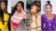 BBNaija All Stars: Vee, Tacha react to Tolani Baj's eviction, Erica shades Neo, “Speaks and acts different”