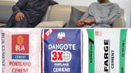 BUA, Dangote, Lafarge sun yi alkawarin rage farashin Siminti don gina wasu gidaje, FG