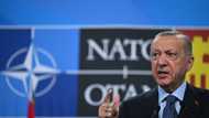 Erdogan warns Turkey may still block Nordic NATO drive
