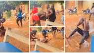 They are gonna kill him: Reactions as young man is stoned pure water mercilessly on his birthday in viral clip