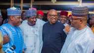 "Everybody wants to align before court judgment": Reactions as Obi, Akpabio, Barau link-up in Kano