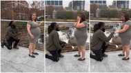 "I said yes": Man proposes to pregnant Oyinbo babe on top bridge, video of her romantic reaction goes viral