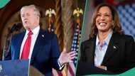 US election: “Why I won’t debate Kamala Harris again,” Donald Trump gives reason