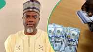 “Convert your dollar to naira now”: Reno Omokri predicts when naira will rise more against dollar