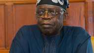 Just in: Big crisis looms as another northern APC governor fails to deliver polling unit to Tinubu