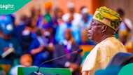 Tinubu ya nemi izinin sake karɓo bashi kala 2 da ya kai kusan N30trn daga ƙasashen waje