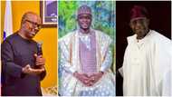 Can Peter Obi Defeat Tinubu? Ex-APC Youth Leader Aspirant Predicts Winner of 2023 Presidential Election