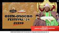 Goldberg lager beer celebrates cultural heritage at Osun-Osogbo Festival 2024