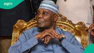 Jigo a APC kuma dan kasuwar mai ya kwancewa Atiku zani kan dawo da tallafin fetur