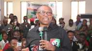 2023 polls aftermath: Will Peter Obi be charged for treason? FG issues fresh updates