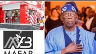 Amid Bola Tinubu 'link' to Mafab communications, Airtel Africa provides details on losing out on 5G licence