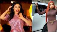 You are disgusting as a friend, ungrateful hoodlum: Tonto Dikeh slams Bobrisky as their fight gets messier