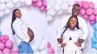The lord has blessed us: Nigerian couple welcomes set of triplets after 8 years of waiting, shares photos